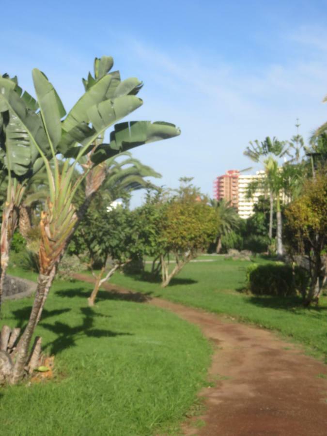 Centrico Loft En El Puerto De La Cruz Con Wifi Y Cerca De La Playa 아파트 외부 사진